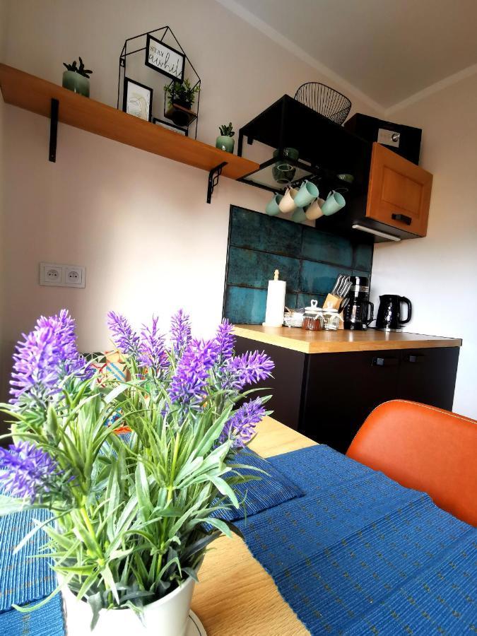 Apartament Na Wzgorzu Jelenia Gora Luaran gambar
